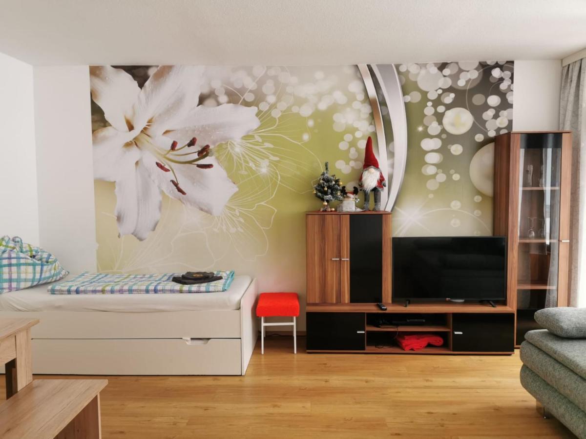 Apartment Fewo Irdning Pichlarn آيغن إم إنشتال المظهر الخارجي الصورة
